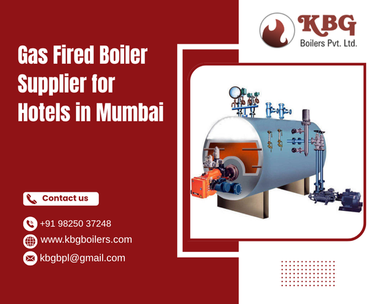 Gas Fired Boiler Supplier For Hotels In Mumbai
