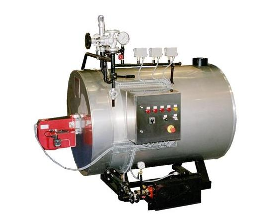 Low Pressure Boiler Manufacturer